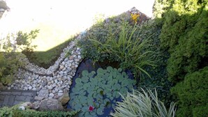Een tuin met een vijver, stenen en diverse planten.