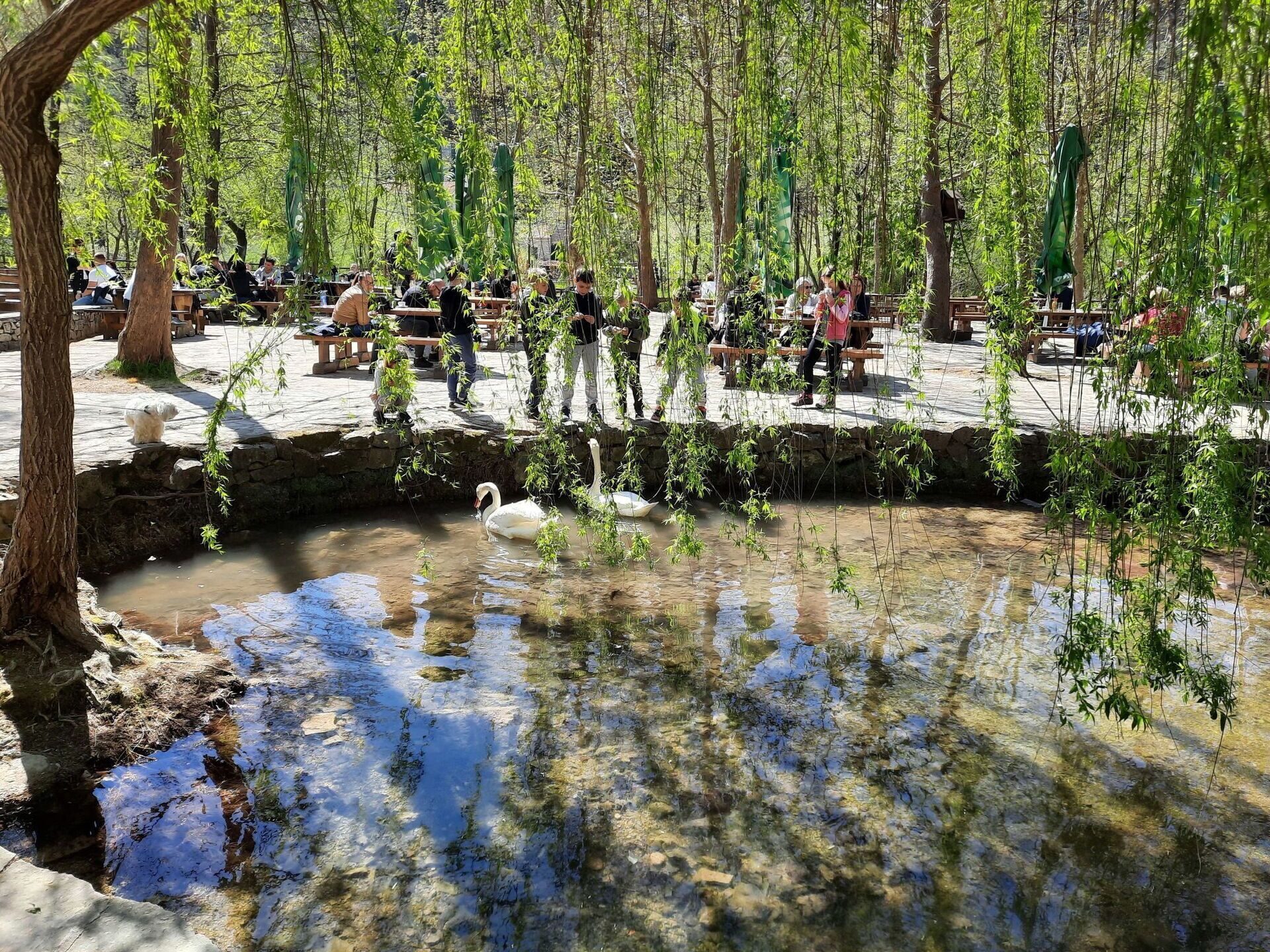 A serene park with a pond, benches, and people enjoying the outdoor setting.