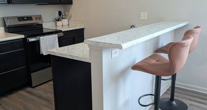 Spacious 1-bedroom apartment with AC in Princeton