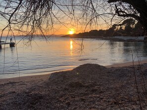 Solnedgang over et roligt vandareal med en sandet strand og en bunke blade i forgrunden.