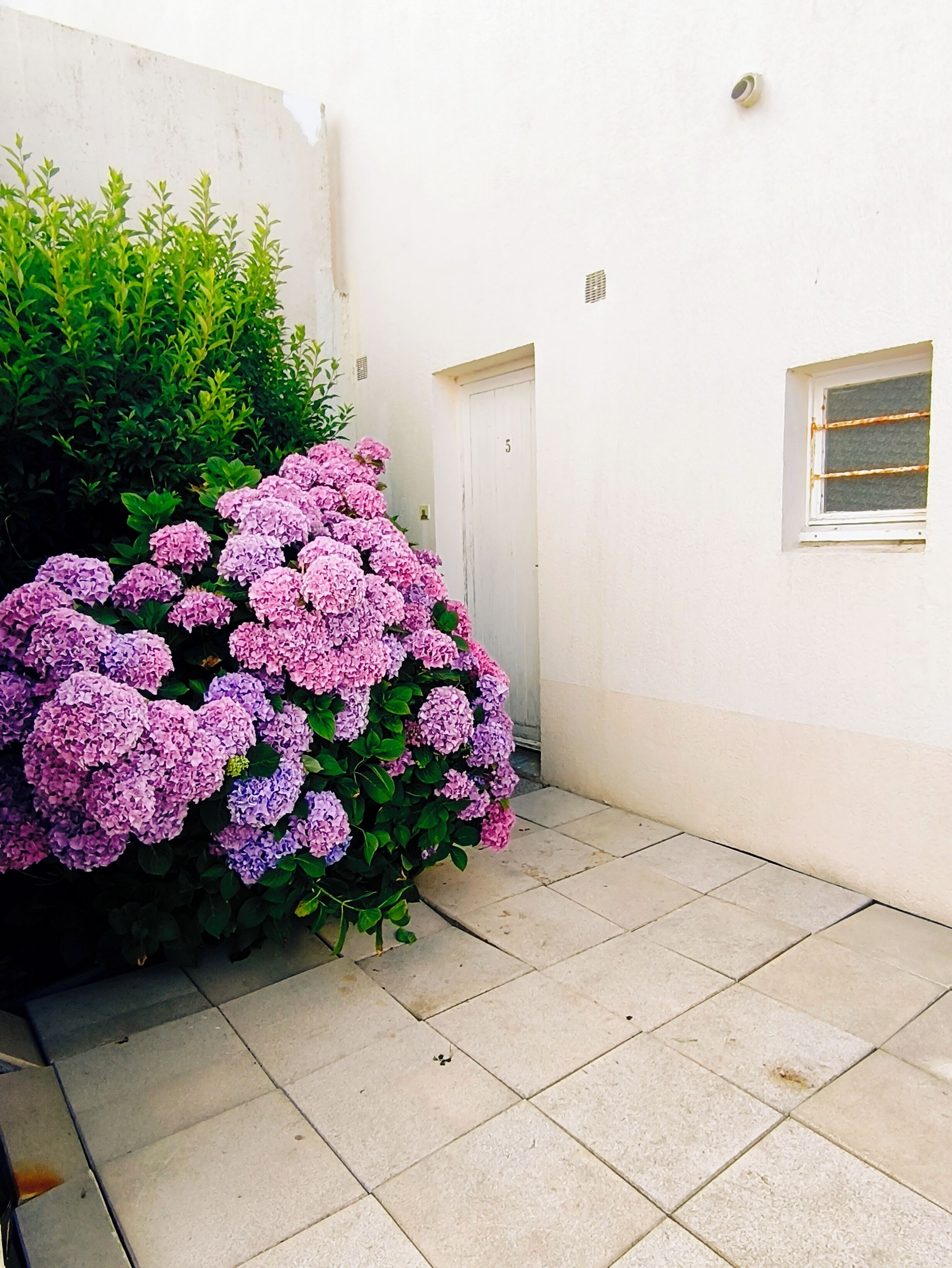 A building with a white exterior, a door, and a window with horizontal blinds.
