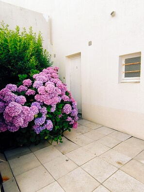 Exterior detail - QUAI POP 22, seafront apartment. Nice terrace area. (Arzon)