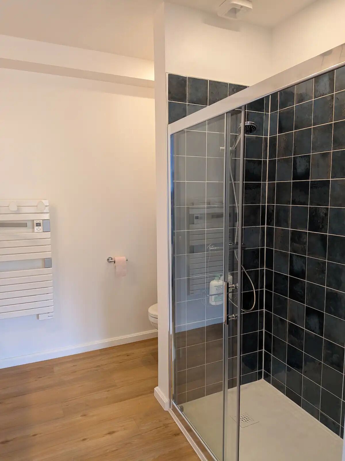 Dusche, Haartrockner, Handtücher, Seife