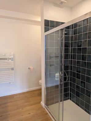 Dusche, Haartrockner, Handtücher, Seife