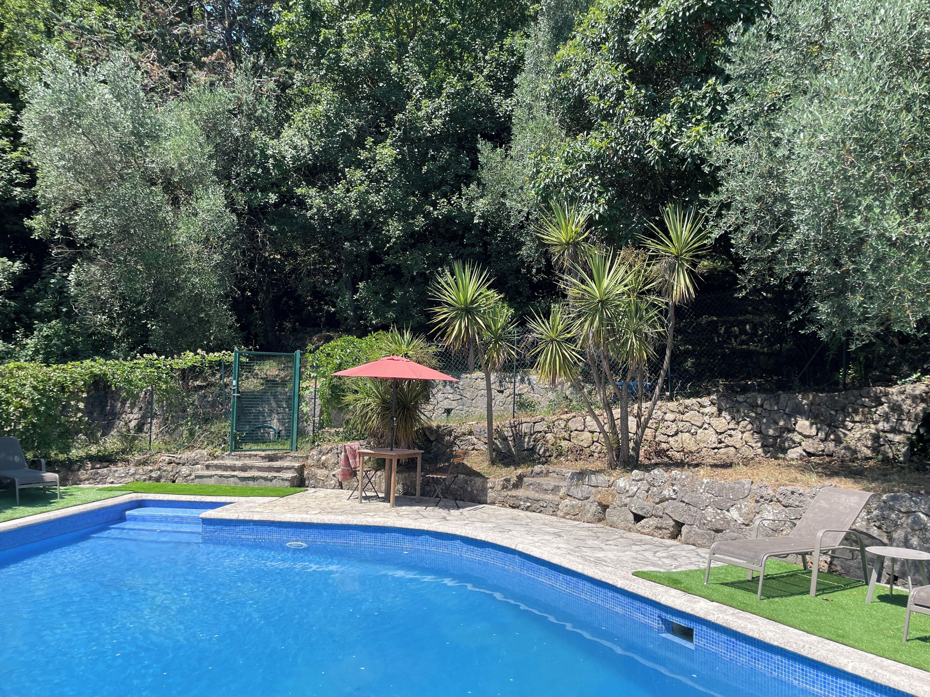 Une piscine bordée de pierres, entourée d’un mur de pierres et d’une végétation luxuriante.
