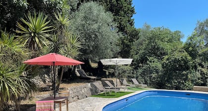Mas provençal with swimming pool on 3 hectares of terraced land. Pets welcome
