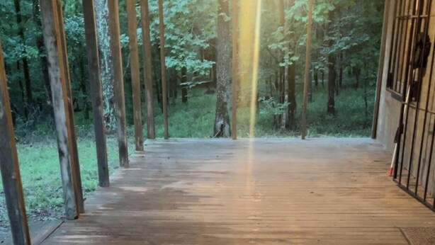 A wooden deck with a view of a forest.