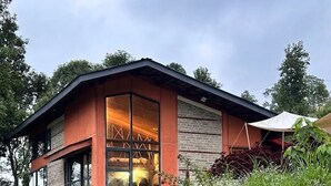 Ett modernt hus med en stentrappa som leder till en glasdörr, omgivet av grönska.