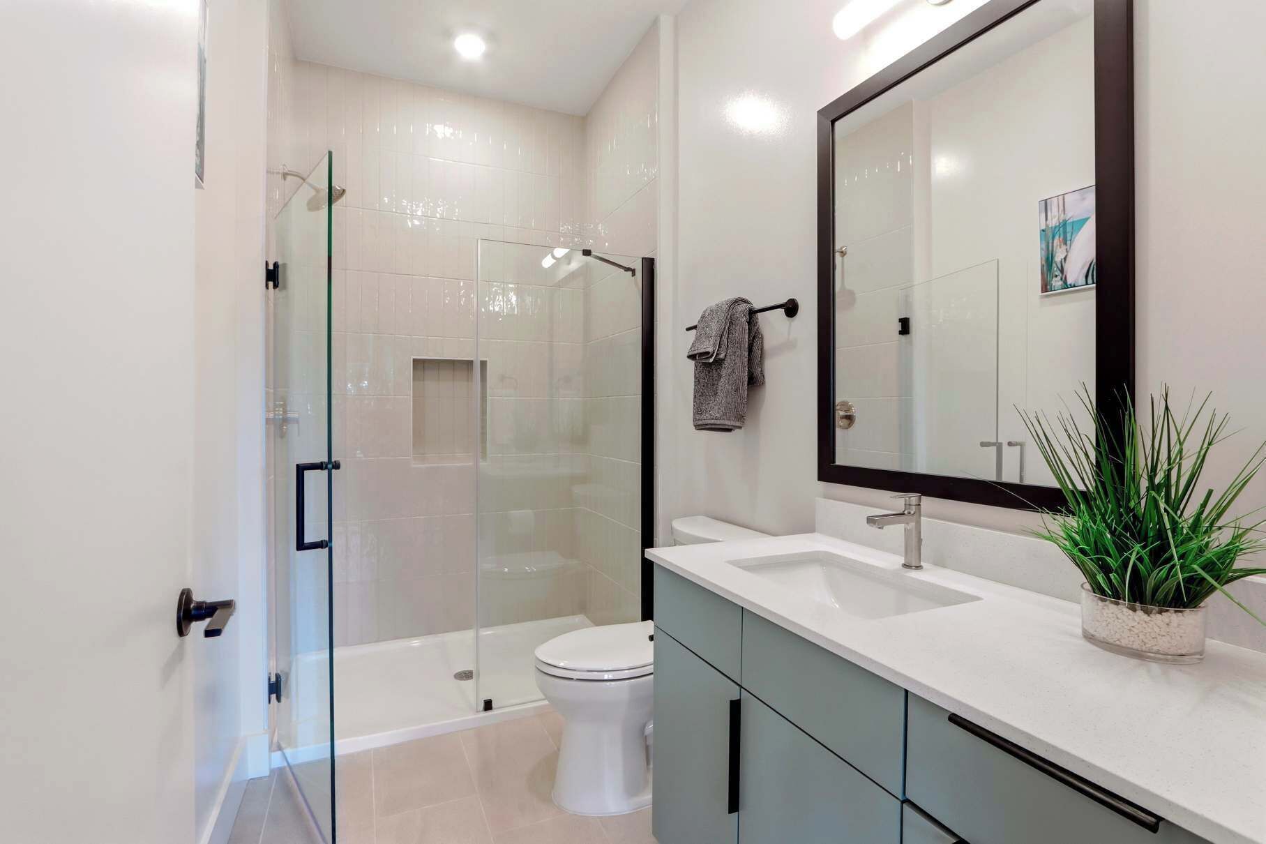 A modern bathroom with a glass shower enclosure, a white toilet, a large mirror, and a potted plant on the vanity.