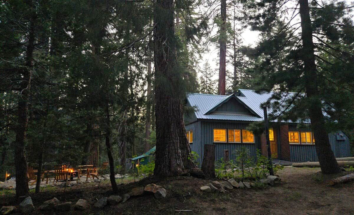 A cabin surrounded by tall trees, with a metal roof and windows.