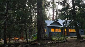 A cabin surrounded by tall trees, with a metal roof and windows.
