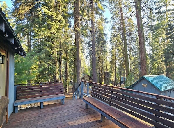 Une terrasse en bois, dotée de bancs, entourée de grands arbres.