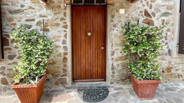 A stone building with a wooden door, two potted plants, and a stone-paved entrance.