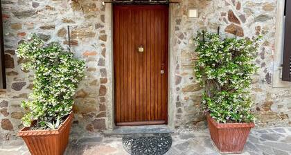 Tuscan country house with a swimming pool; dog-friendly