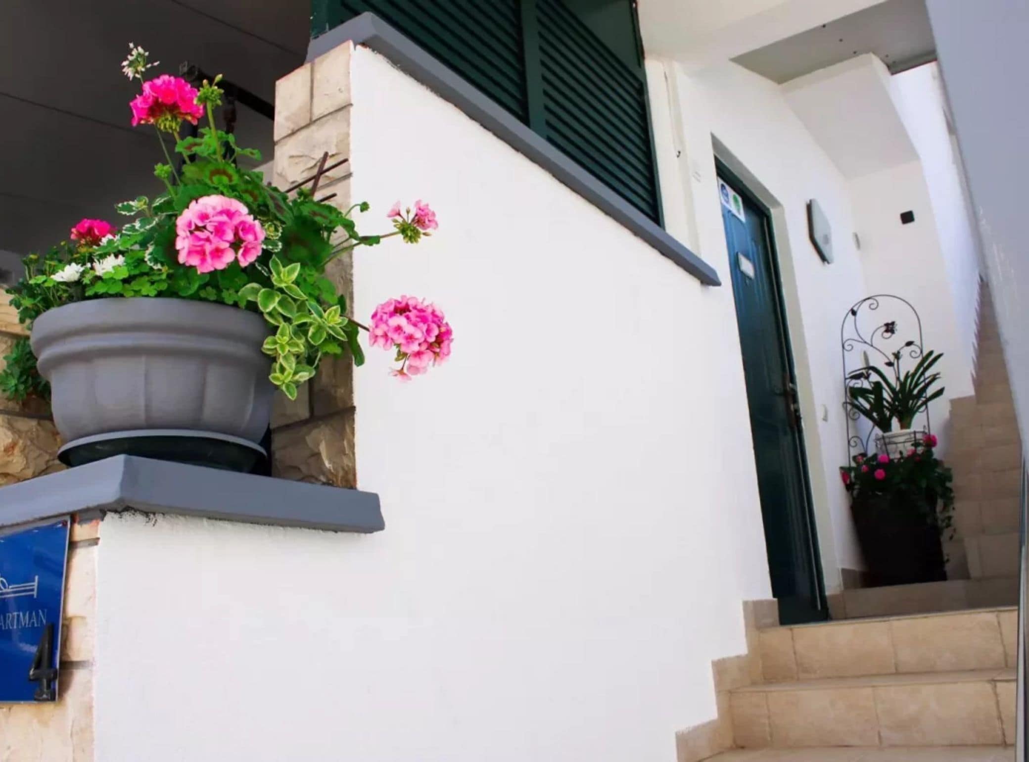 A building entrance with a potted plant on the left and a door on the right.
