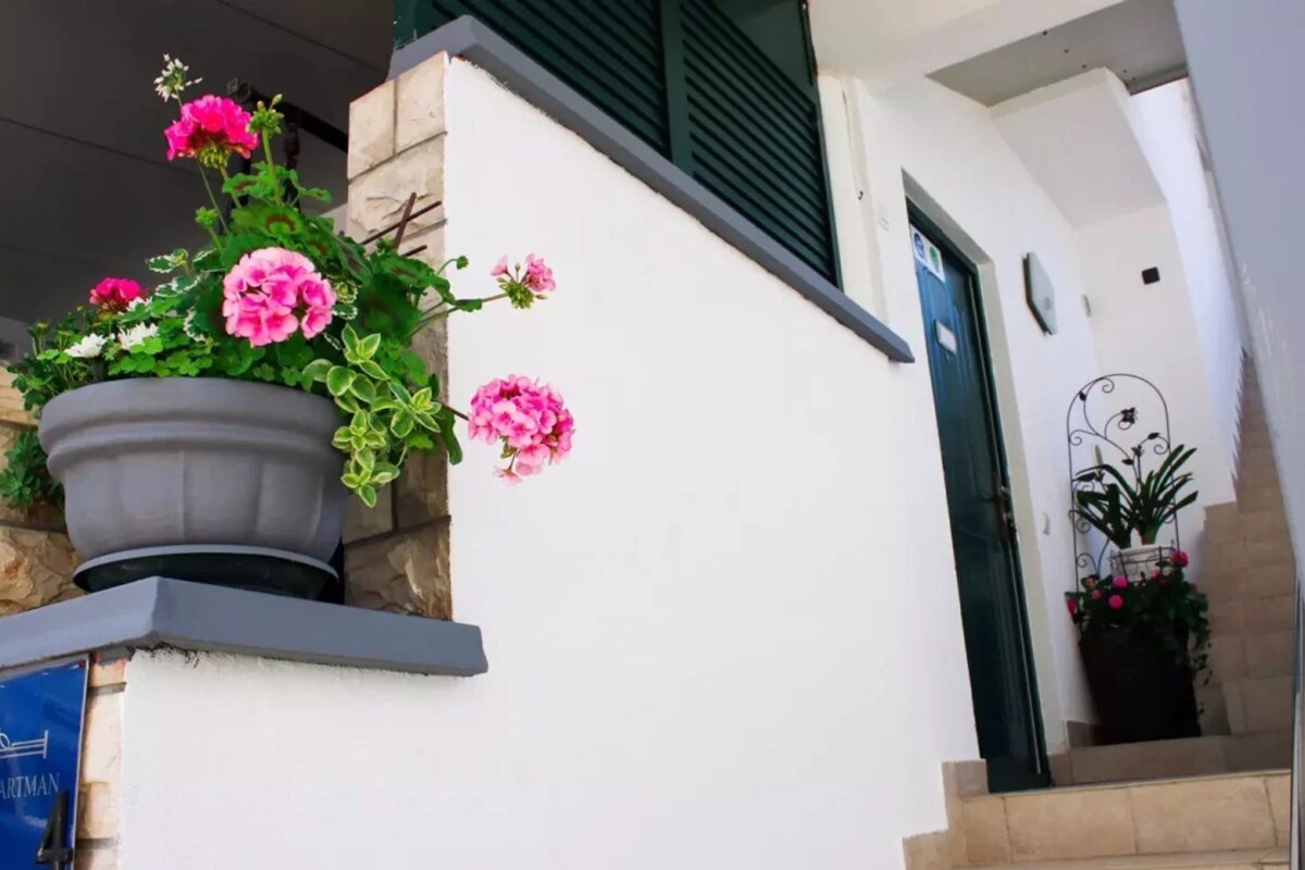 Ein Gebäudeeingang mit einem Blumentopf links und einer Tür rechts.