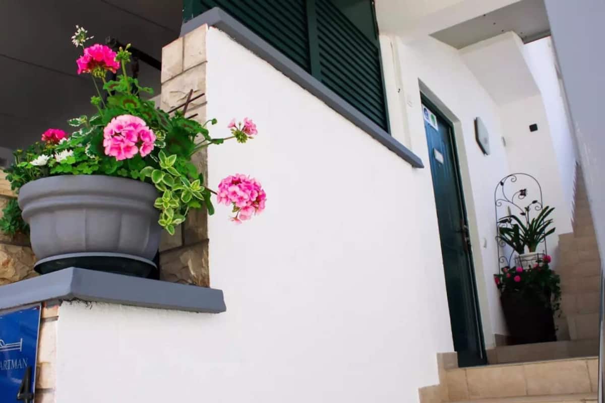 A building entrance with a potted plant on the left and a door on the right.