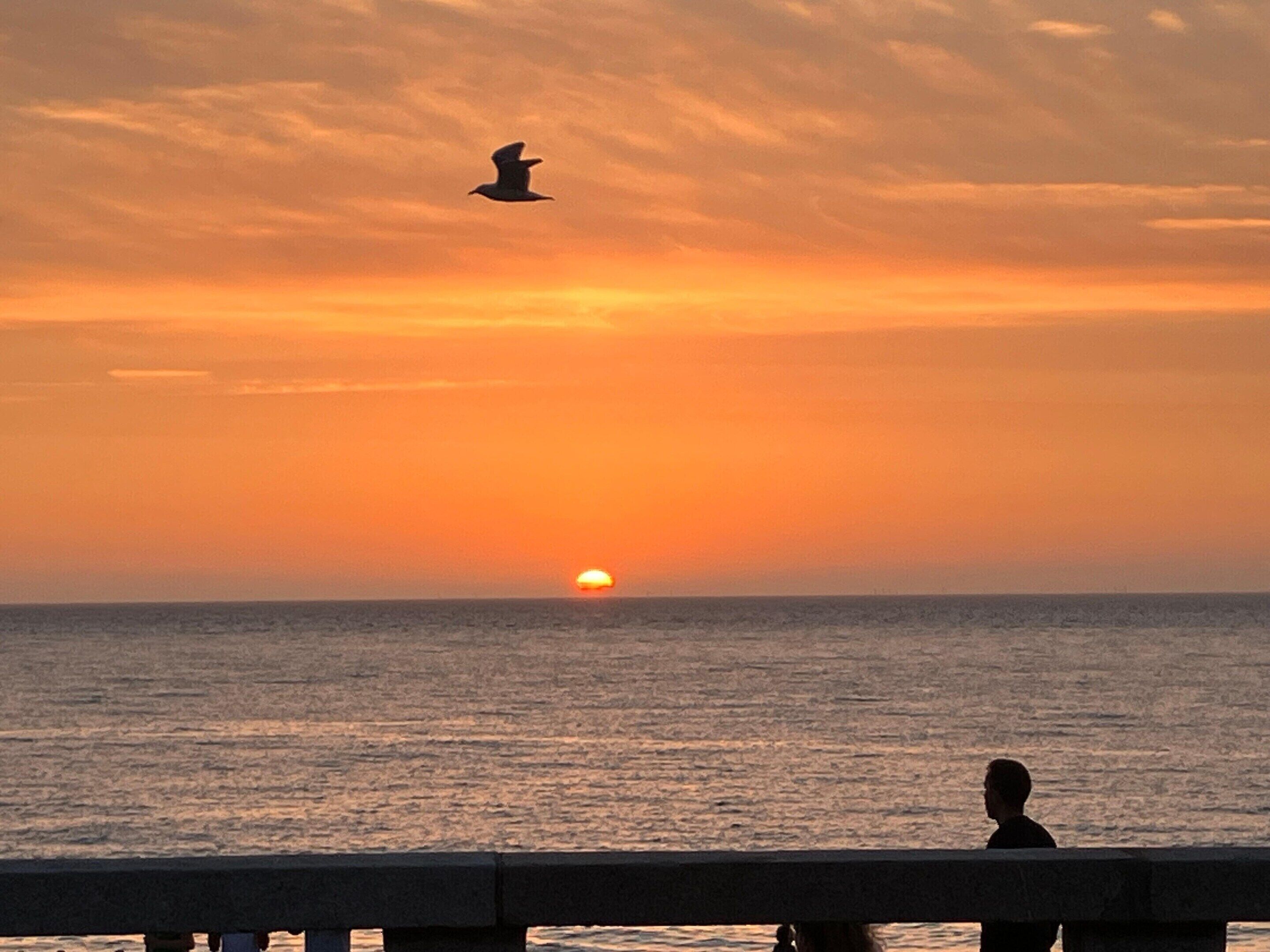 Tramonto sull'oceano con la sagoma di una persona su un molo.