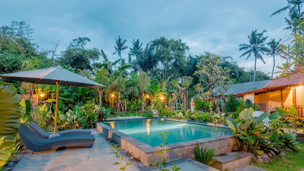 Una piscina rodeada de exuberante vegetación, una tumbona y un área de estar cubierta.