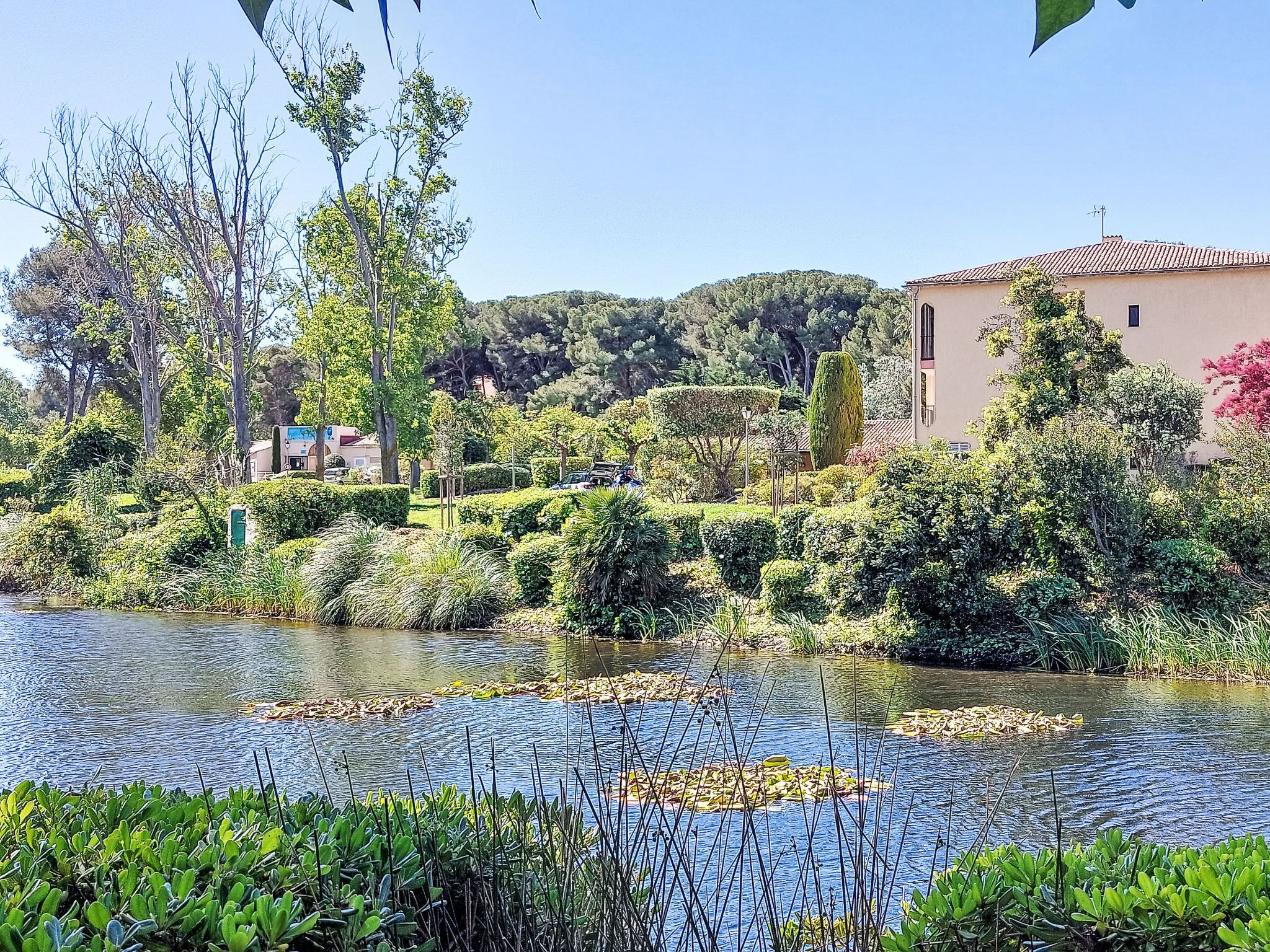 A river with water lilies, lush greenery, and a building with a tiled roof.