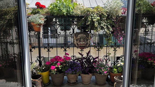 Un balcón con plantas en macetas y una reja metálica decorativa.