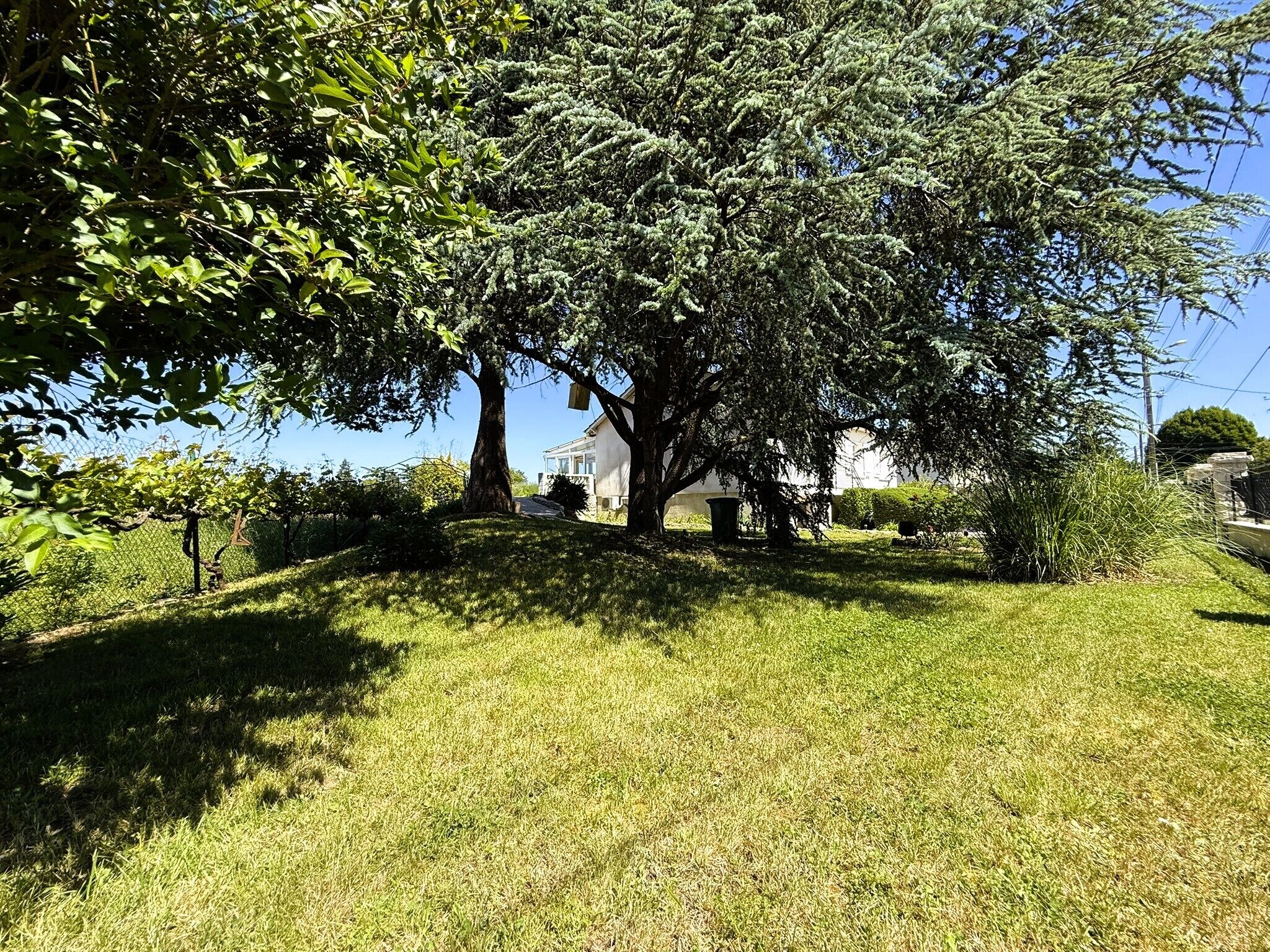 Een gazon met bomen en een gebouw op de achtergrond.