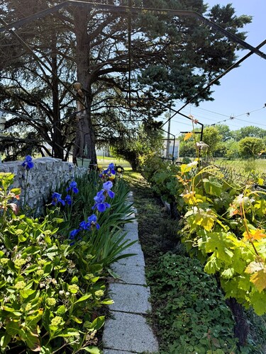 Villa le cèdre bleu - Ballan Miré near Tours