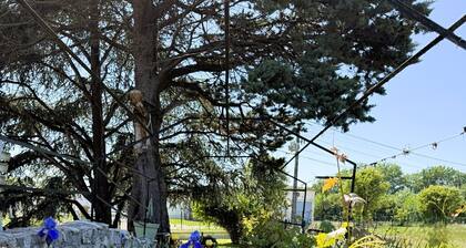 Villa le cèdre bleu - Ballan Miré near Tours