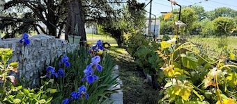 Villa le cèdre bleu - Ballan Miré proche de Tours