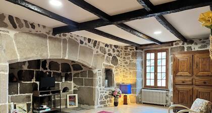 Authentic Cantalien house with garden and view of Puy Mary