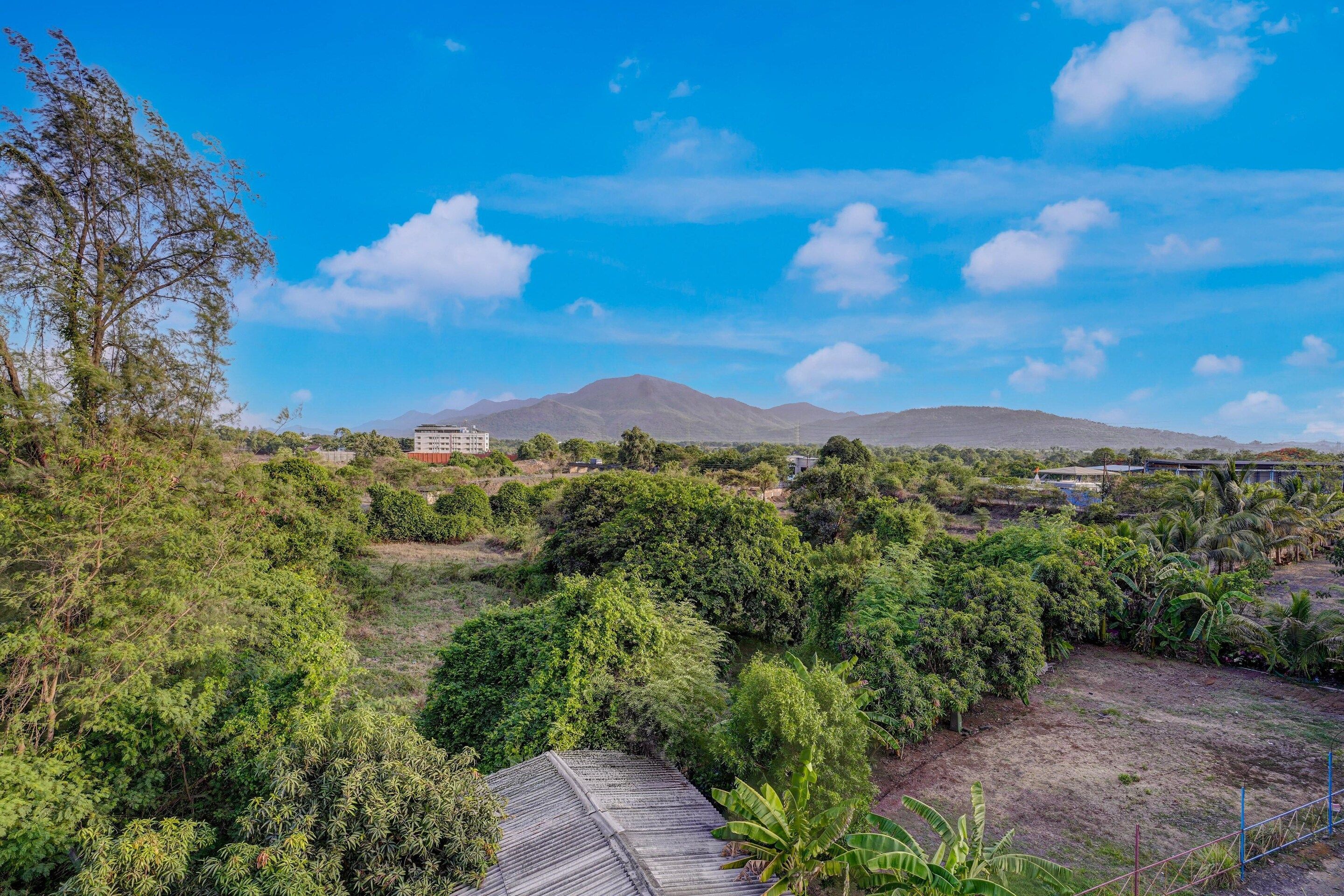 Eine Landschaft mit einem Berg im Hintergrund, dichtem Grün und einem Gebäude mit Wellblechdach.
