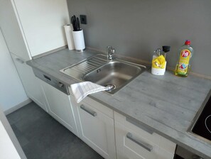Eine moderne Küche mit Spüle aus Edelstahl, Küchenpapierrolle, einer Flasche Spülmittel und einer Geschirrbürste.