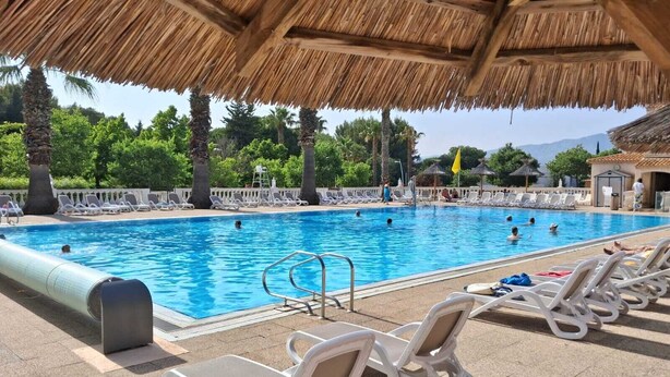 Une piscine avec des chaises longues, un toit de chaume et des palmiers.