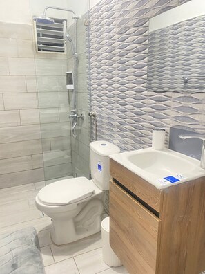 A bathroom with a toilet, a shower, and a sink with a mirror.