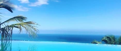 A clear blue sky, a calm ocean, and a pool with palm trees.