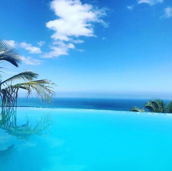 A clear blue sky, a calm ocean, and a pool with palm trees.