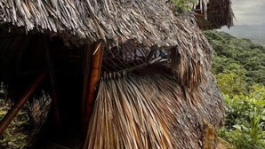 A traditional thatched-roof hut with a stone foundation, surrounded by lush greenery.
