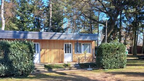Une petite cabane en bois avec un porche, entourée d’arbres et d’une cour gazonnée.