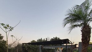 An outdoor patio area with tables and benches, surrounded by potted plants and a palm tree. - Apartment in Condesa with a Terrace (Ciudad de México)
