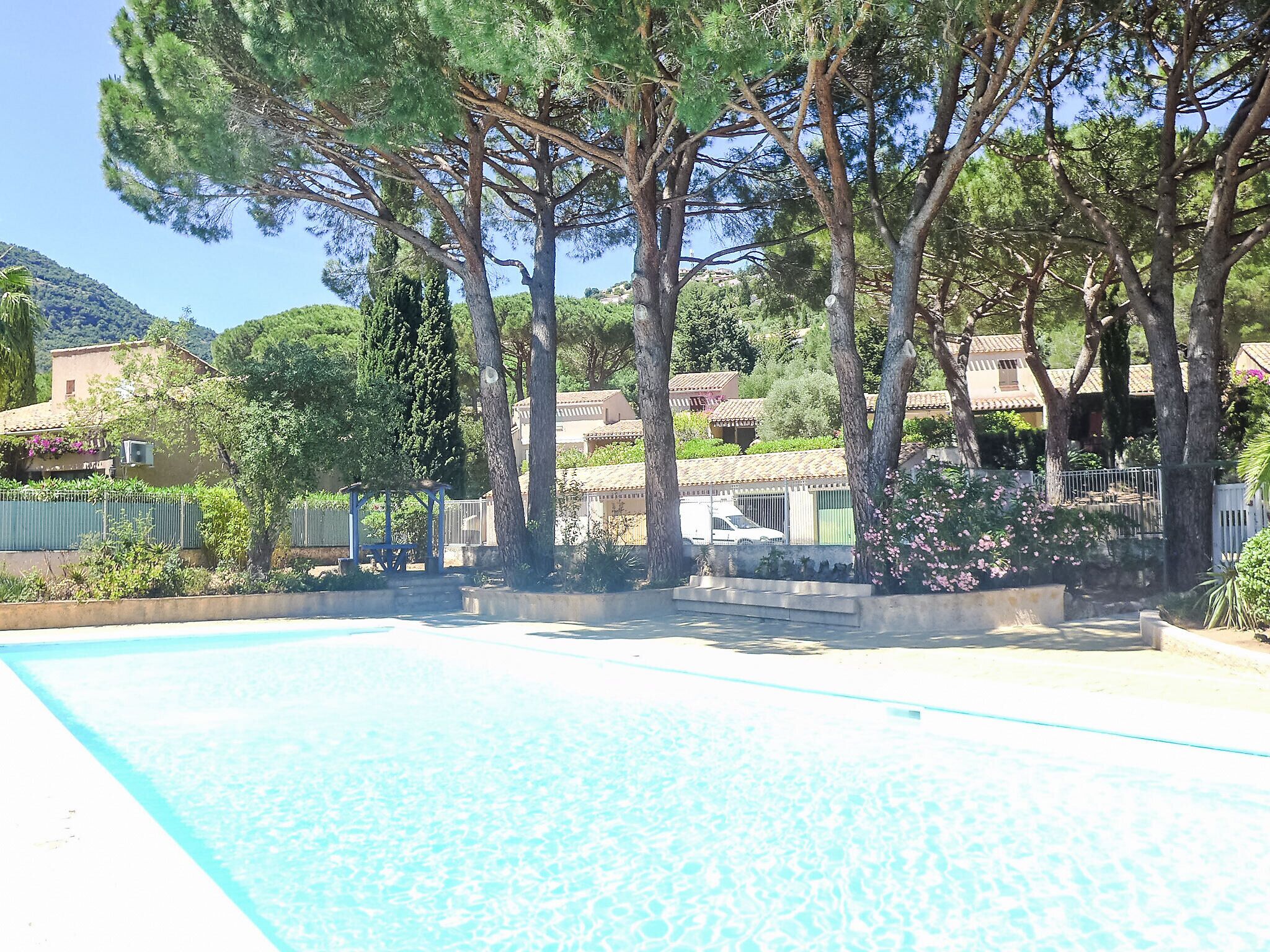 Une piscine entourée d’arbres et de maisons.