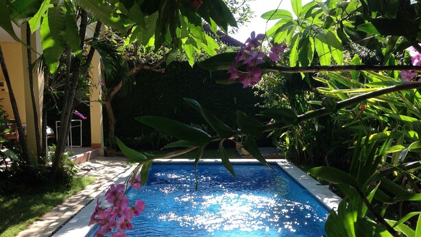 Une piscine entourée d’une végétation luxuriante, sous un ciel bleu azur.
