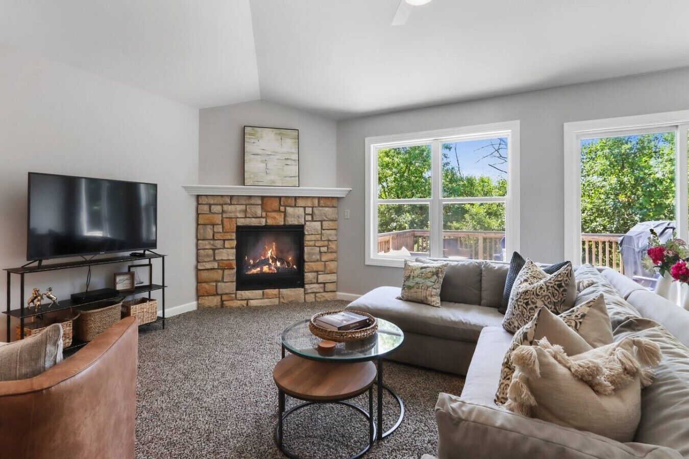 TV, fireplace, books
