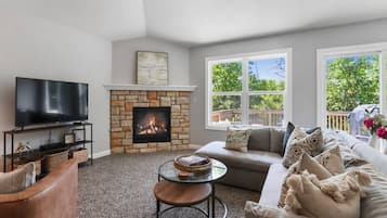 TV, fireplace, books