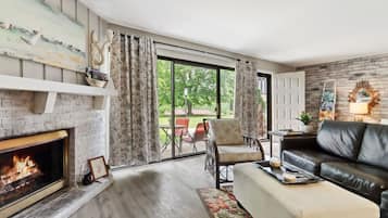 TV, fireplace, books