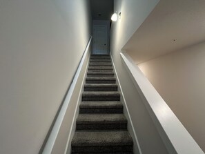 Eine Teppichstufen Treppe mit Handlauf, die zu einer Tür oben führt.
