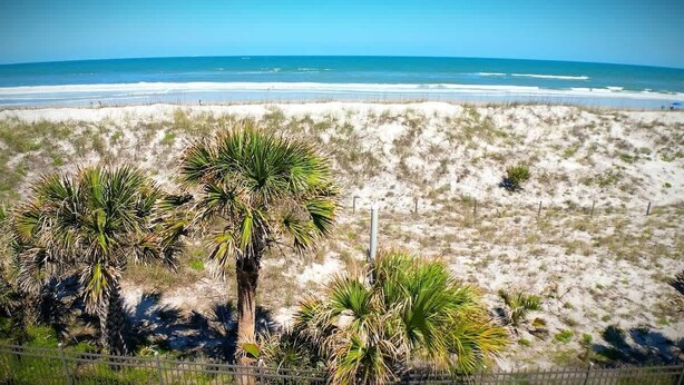 Une plage avec des dunes de sable et des palmiers.