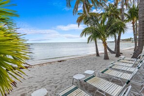 Ein Strand mit weißen Liegestühlen und Palmen.