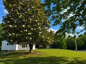 Exterior - The Magnolia Chateau - A Tennessee Country Retreat (Bethel Springs)