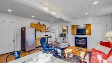TV, fireplace, books