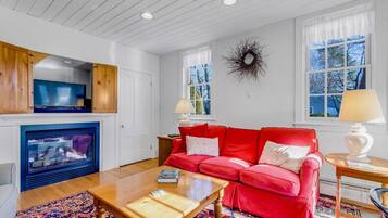 TV, fireplace, books